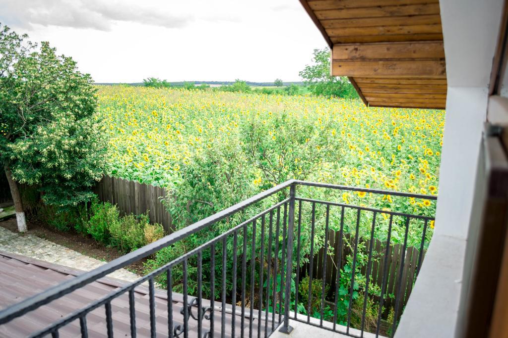 Casa Diana Hotel Комана Екстериор снимка